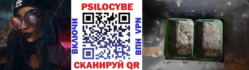 Псилоцибиновые грибы мицелий  Купить закладки  Майкоп 